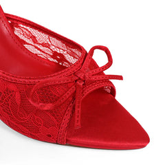 Lacey Pointed Toe Lace Bow Heels
